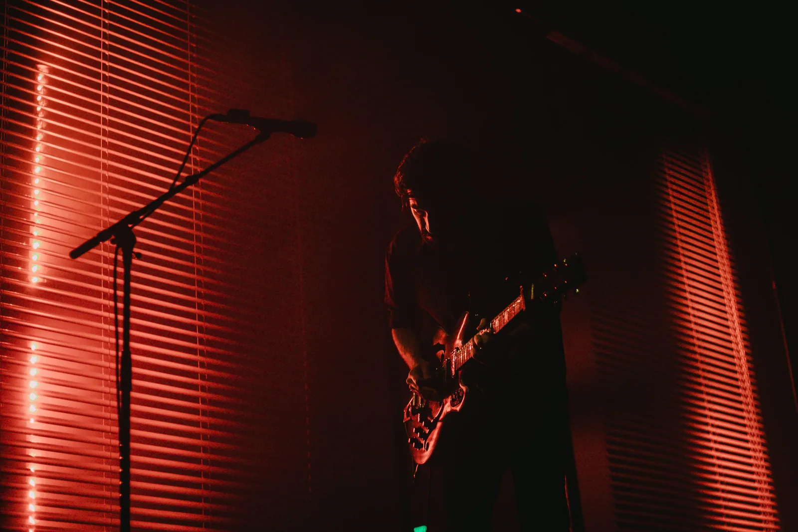 Paper Kites
